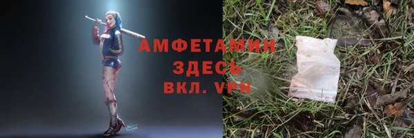 твердый Абаза