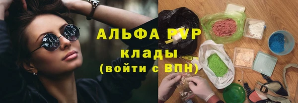 индика Абинск