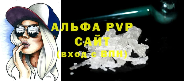 индика Абинск