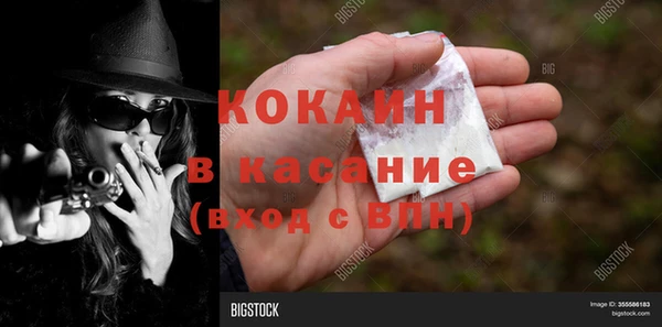 индика Абинск