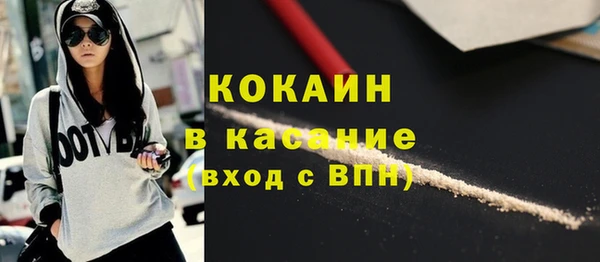 индика Абинск