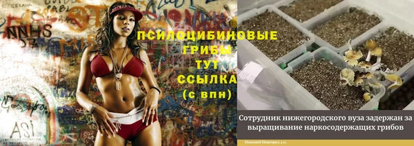твердый Абдулино