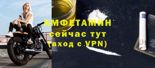 твердый Абаза