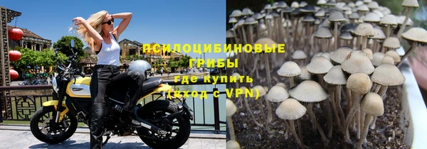 герыч Вяземский