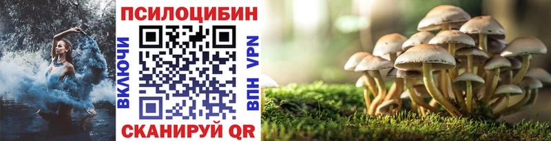 Псилоцибиновые грибы MAGIC MUSHROOMS  купить   Отрадный 