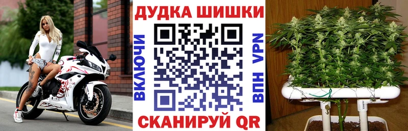 Канабис план  Отрадный 